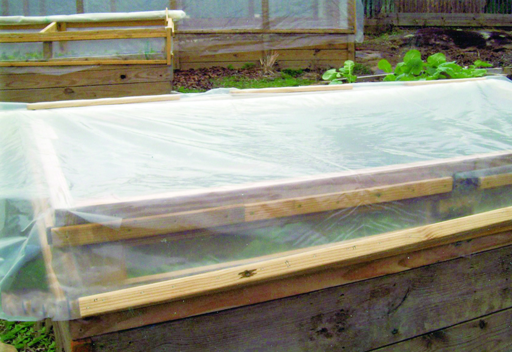Tabletop Cold Frame Country Lore: Creating Roll-Top Cold Frames – Mother Earth News